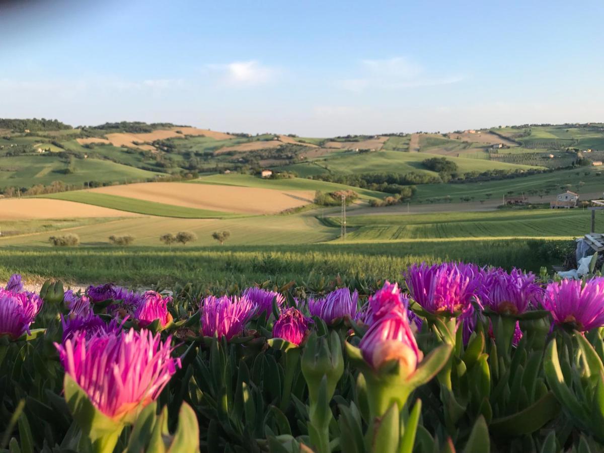 Bed and Breakfast La Trave Montecosaro  Экстерьер фото